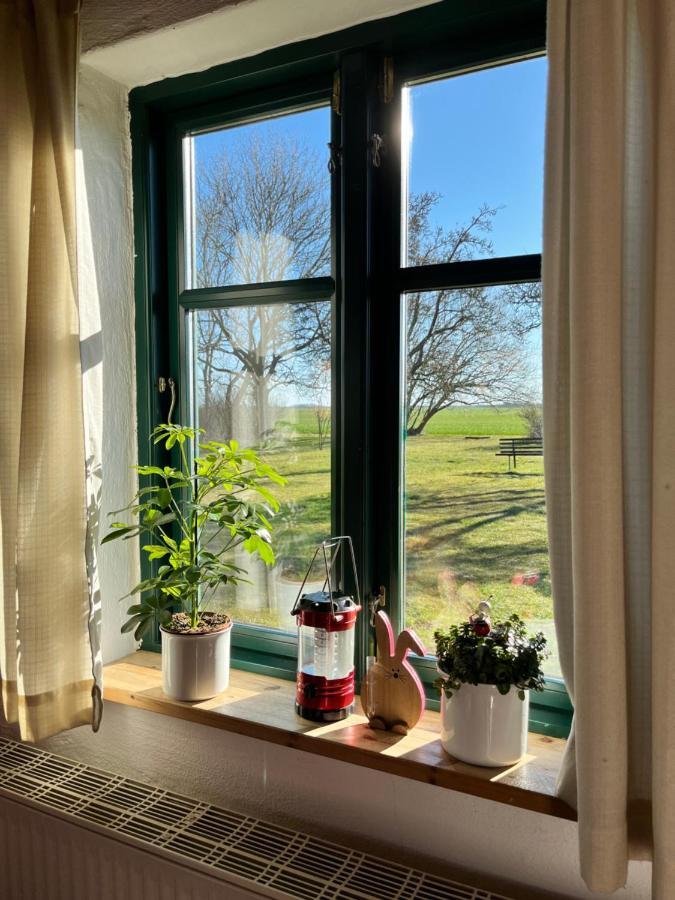 Ferienwohnungen Dargatz Lussvitz Esterno foto